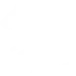 Desratização Dedetização de ratos
