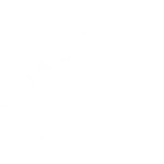 Dedetização de mosquitos