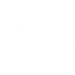 Dedetização de aranhas